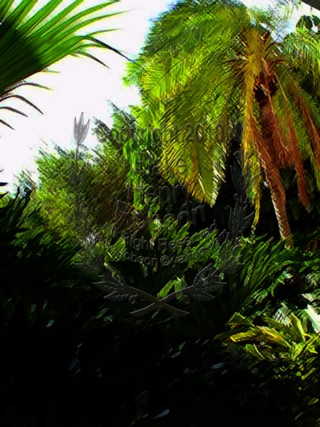 Tropical Plants at Walt Disney World in 1998