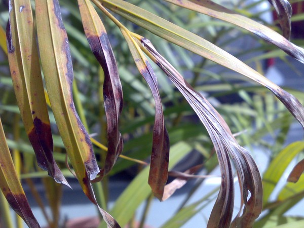 my photography