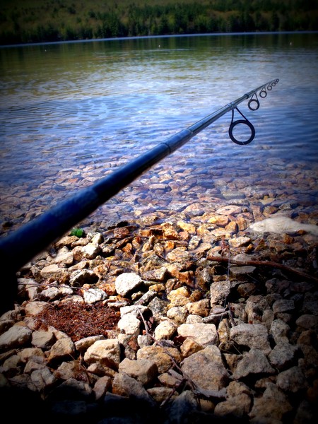Gone Fishing