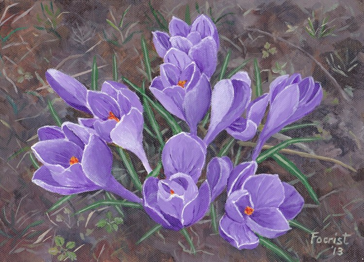 Spring flowers