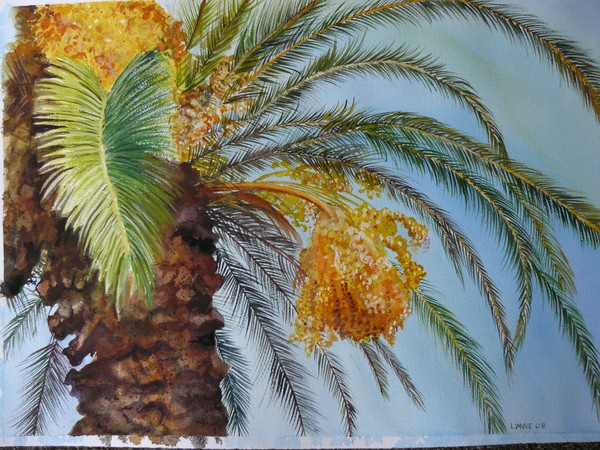Palm tree