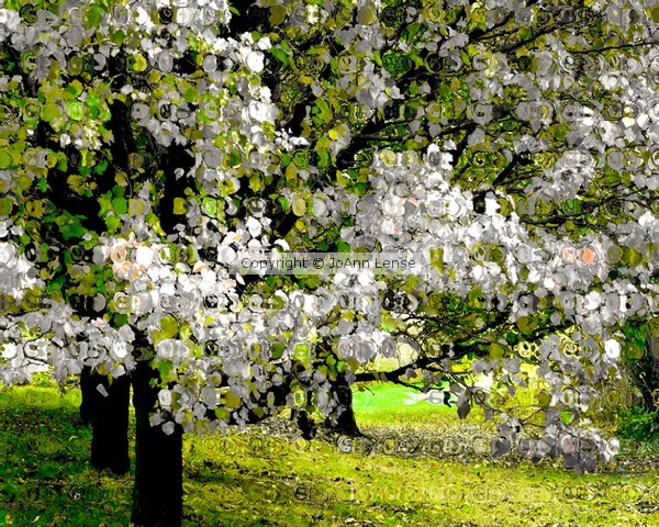 Trees