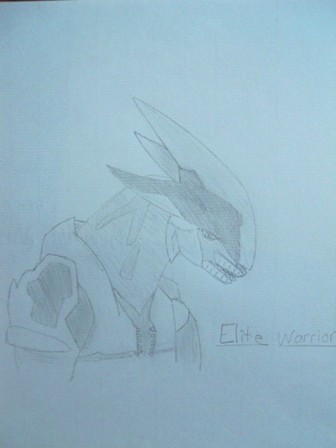 Covenant Elite (Halo 2)