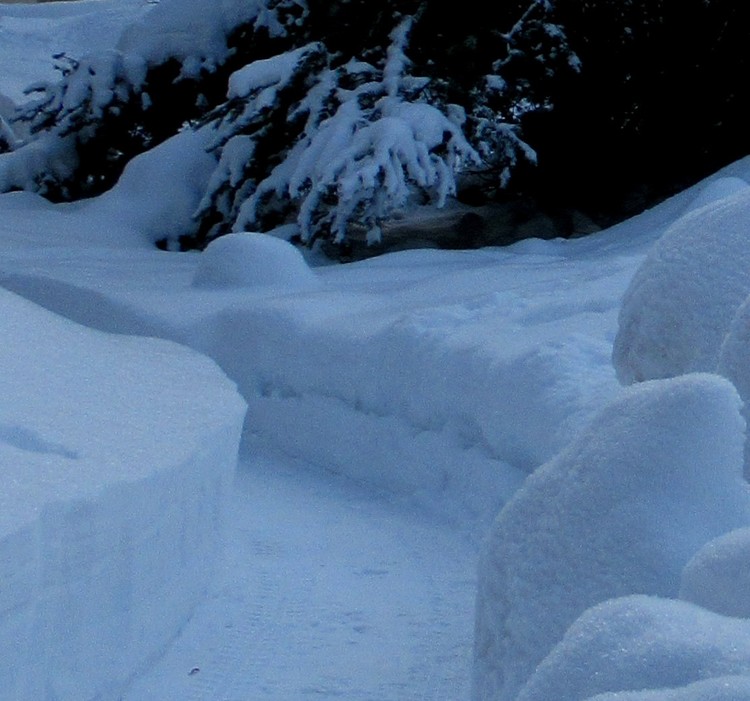 A BIG AMOUNT OF SNOW