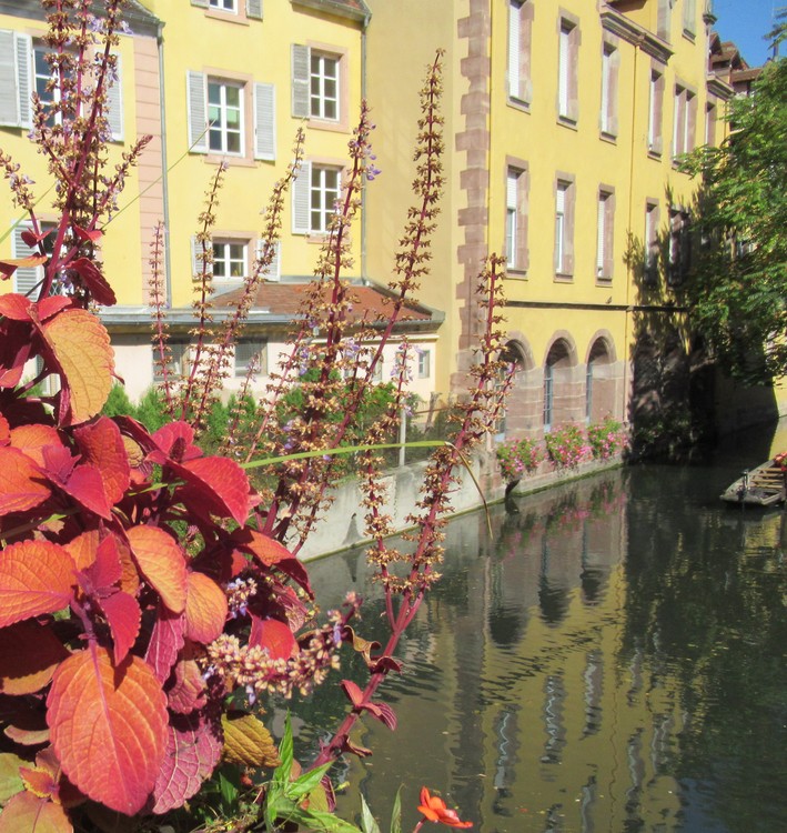 COLMAR ALSACE