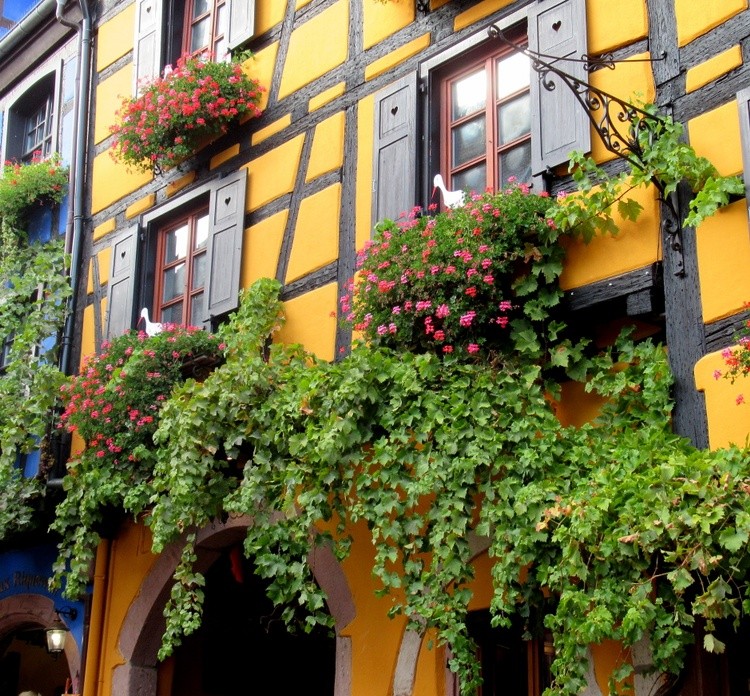 ALSACE
