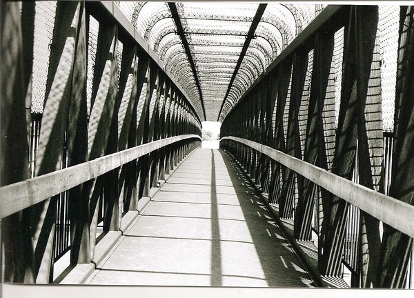 bridge