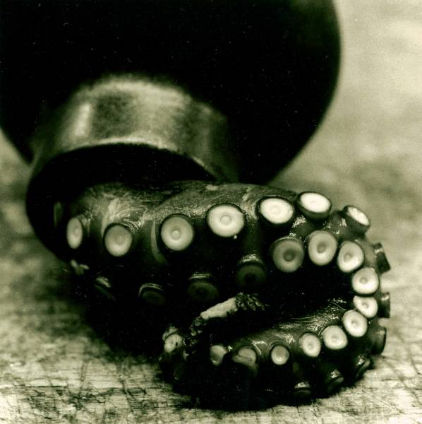 Spilling Tentacle
