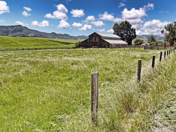 Western Ranch