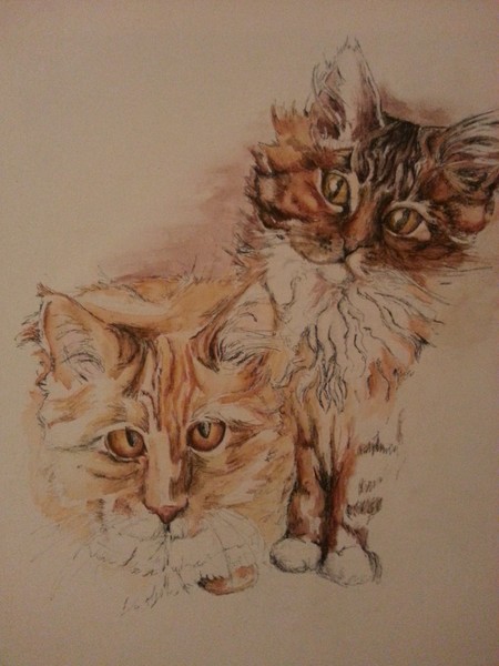 Kittens