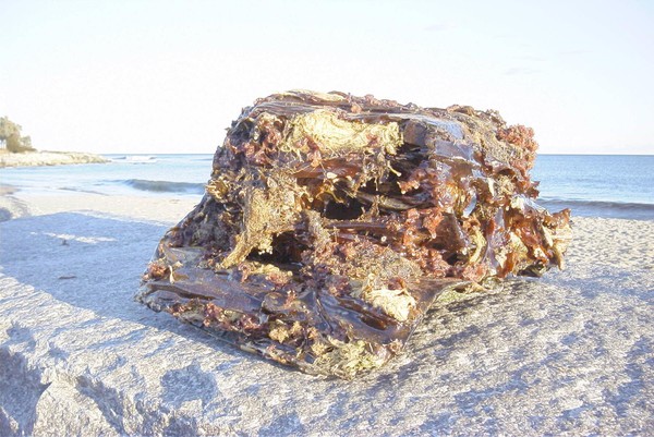 Art of The Ocean 2A
