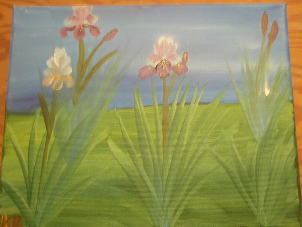 Iris in Field of green