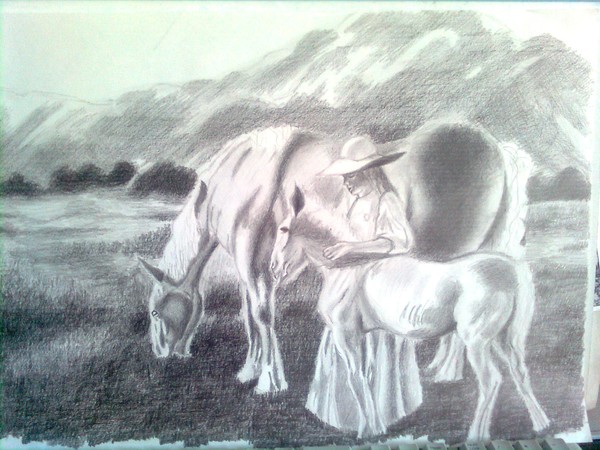 Horses