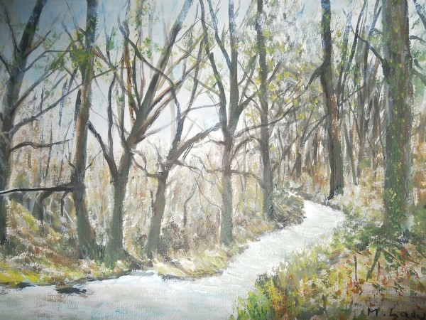 trees by the path