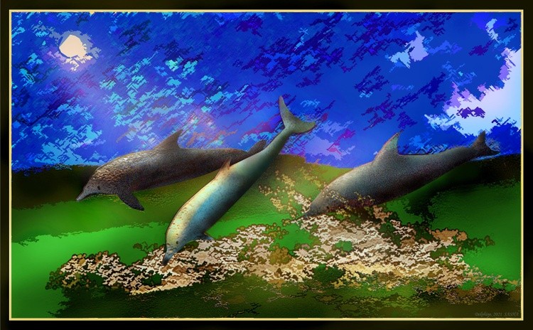 Dolphins