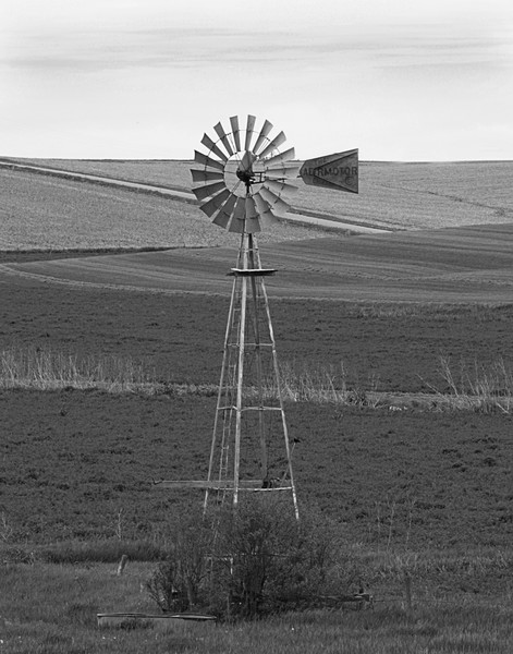 Black and White, Windmill 2