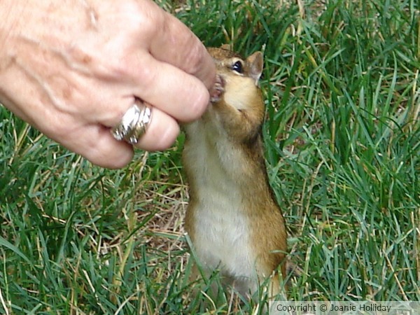 TO MAKE YOU SMILE MARIE-CLAIRE. -PHOTO