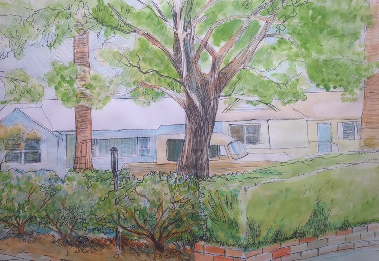 front yard