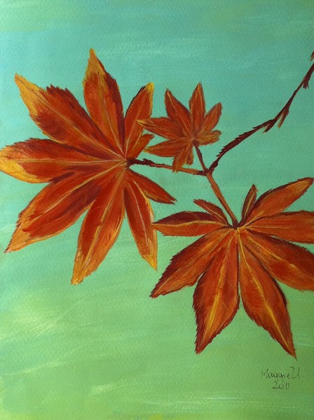 Maple Leafs