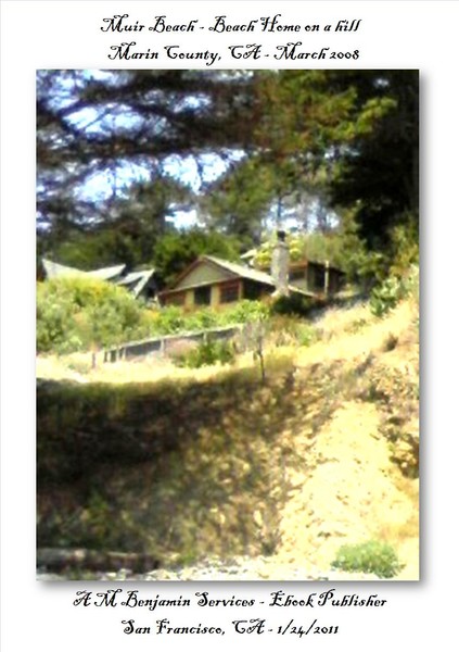 Beach Home on a Hill - Muir Beach, CA