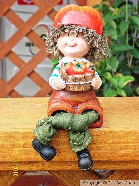 A Farmer's Daughter, Taiwan