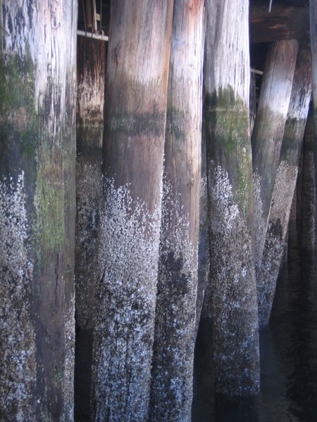 Weathered