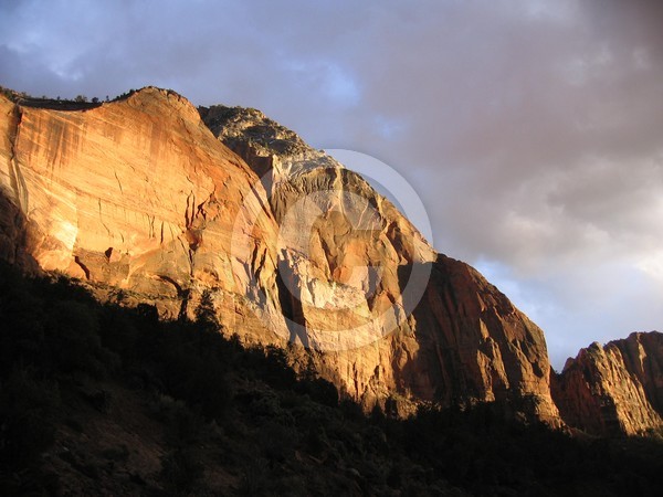 Zion Light