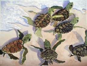 GreenTurtleBabies29