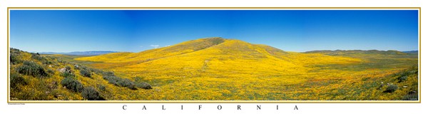  The yellow Hills of Lancaster #104N