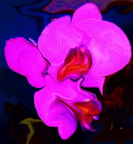 flower 15