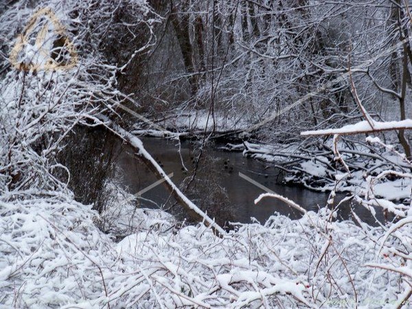 Snow Pond