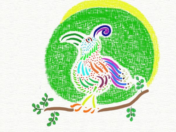 paradisebird