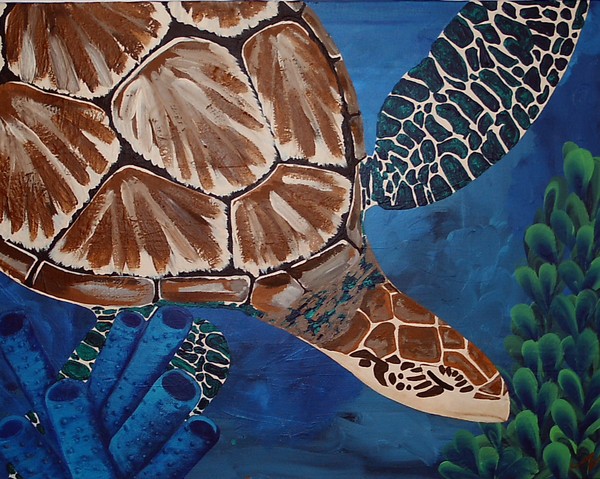 Green Sea Turtle