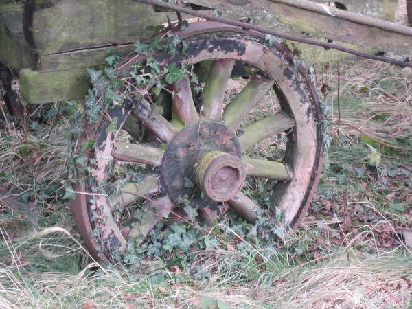 Wooden Wheel