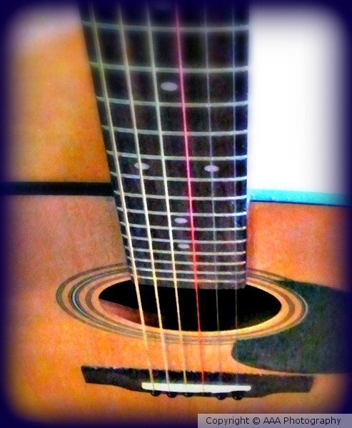 The Guitar