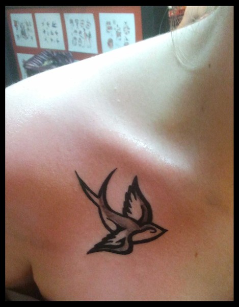 bird