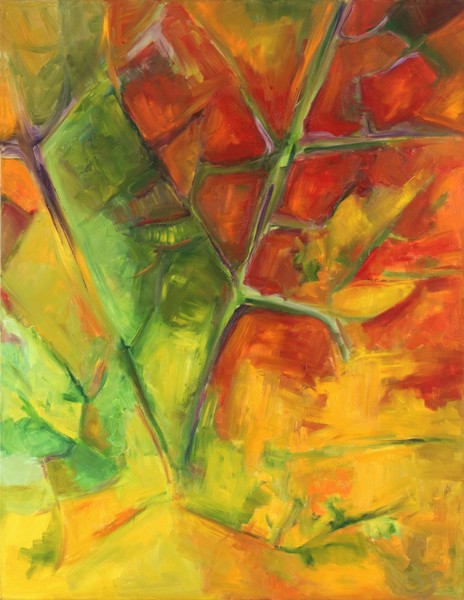 The maple leaf 1