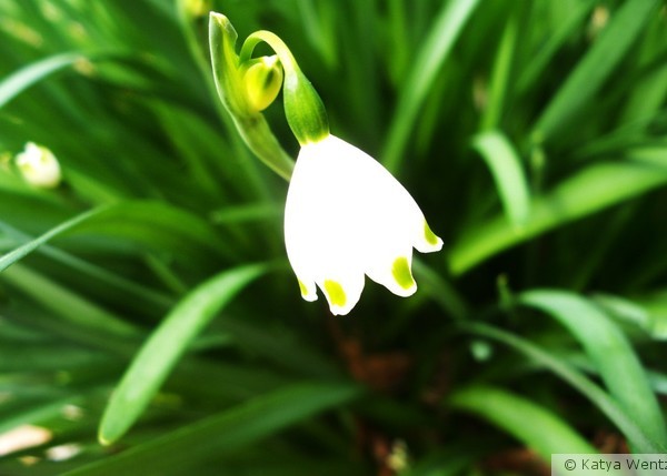 Spring is here