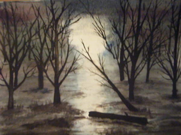 misty woods image 2