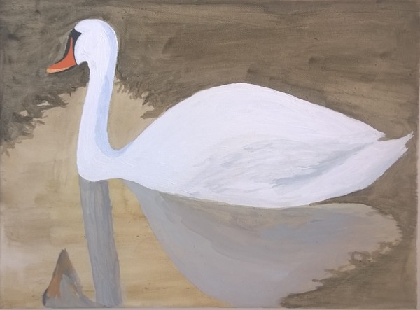 Swan
