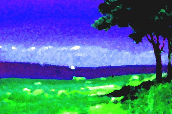 Summer Colors