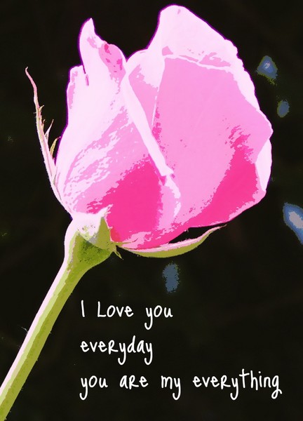 Red rose of love