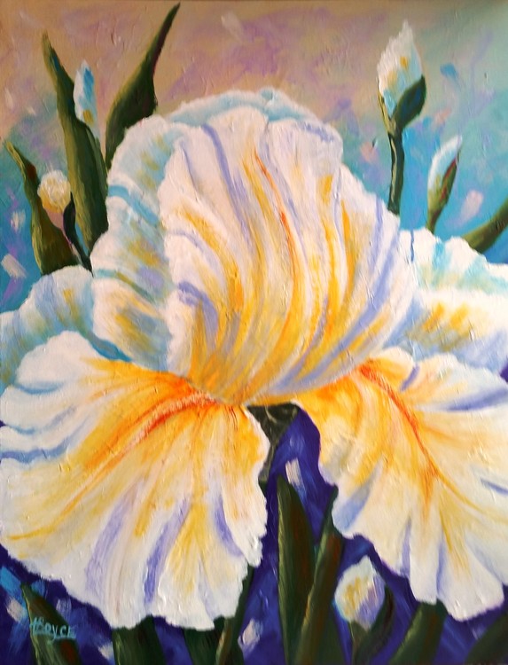 WHITE IRIS DELIGHT
