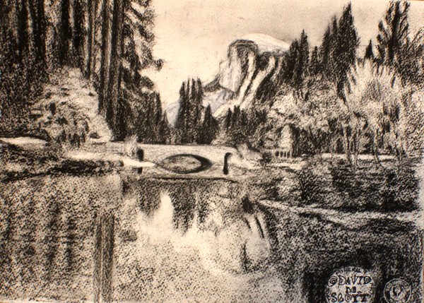 Bridges of the Park #1