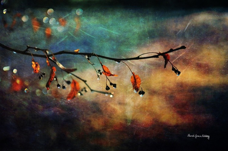 Autumn Twinkle