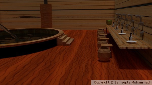 Sauna Bathroom