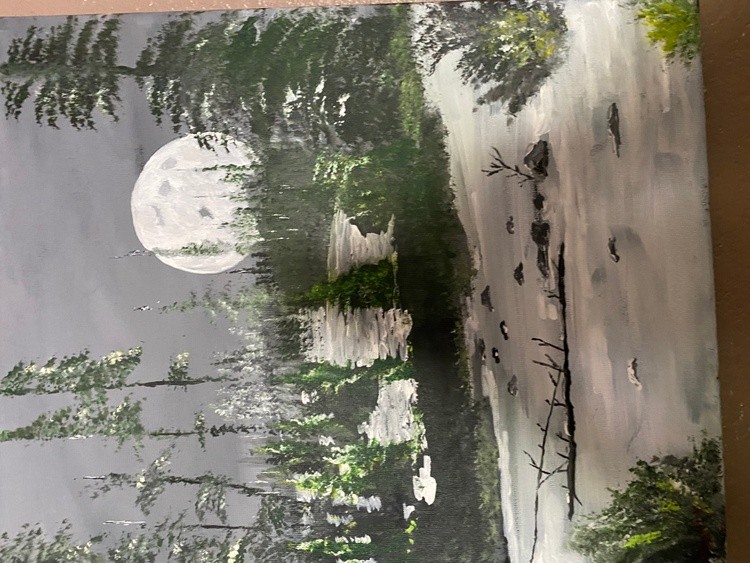 Forest Moonlight
