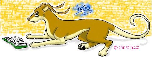 Indio_Incendio