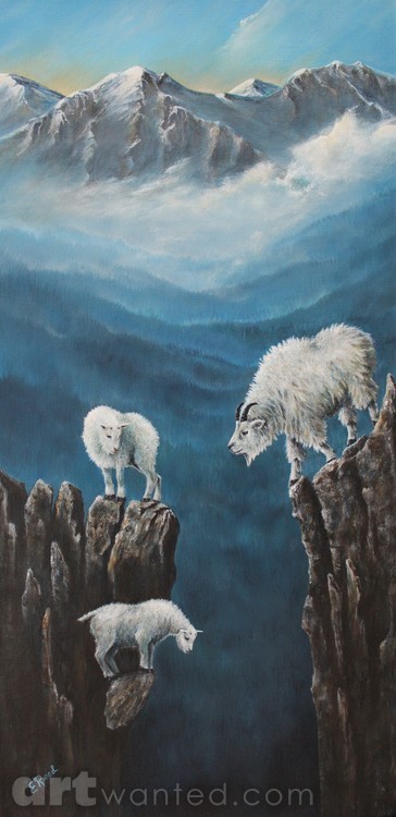 Watchful eye