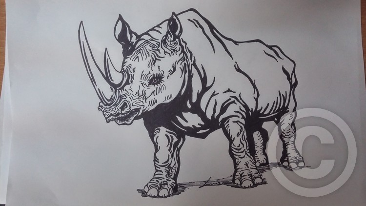 rhino